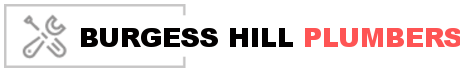 Plumbers Burgesshill logo